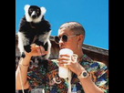 https://image.noelshack.com/fichiers/2019/18/6/1556998006-image.png