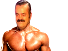 https://image.noelshack.com/fichiers/2019/18/7/1557047405-62680-full.png