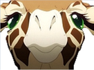 https://image.noelshack.com/fichiers/2019/18/7/1557051042-girafe.jpg