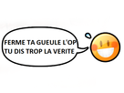 https://image.noelshack.com/fichiers/2019/19/1/1557098556-1515108350-410.png