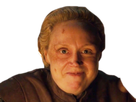 https://image.noelshack.com/fichiers/2019/19/1/1557137749-brienne-pouf-brighter.png