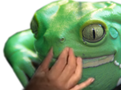 https://image.noelshack.com/minis/2019/19/1/1557156644-maergery.png
