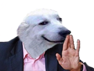 https://www.noelshack.com/2019-19-2-1557204709-dog-zemmour.png