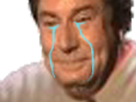 https://image.noelshack.com/fichiers/2019/19/5/1557488920-1534676585-150118698jesuspleurezoom.png