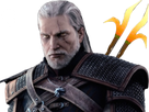 https://image.noelshack.com/fichiers/2019/19/5/1557521258-the-witcher-3.png