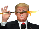 https://image.noelshack.com/minis/2019/19/5/1557521297-trump-tison.png