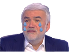 https://image.noelshack.com/fichiers/2019/19/6/1557536059-pascal-triste.png