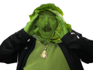 https://image.noelshack.com/fichiers/2019/20/1/1557753238-1509387311-la-choucloute.png
