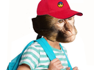 https://image.noelshack.com/minis/2019/20/3/1557875609-magot-ecolier-soleil.png