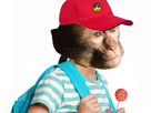 https://image.noelshack.com/fichiers/2019/20/3/1557875668-magot-ecolier-sucette.jpg