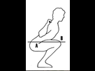 https://image.noelshack.com/fichiers/2019/20/3/1557929105-squat.jpeg