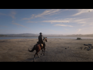 https://image.noelshack.com/fichiers/2019/20/3/1557936812-red-dead-redemption-2-20190515165926.jpg