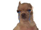 https://image.noelshack.com/fichiers/2019/20/3/1557954470-79494-full.png