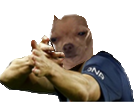 https://image.noelshack.com/fichiers/2019/20/4/1558001645-chienbangbang.png