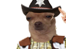 https://image.noelshack.com/fichiers/2019/20/4/1558002430-1528295865-chien-sheriff.png