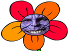 https://image.noelshack.com/fichiers/2019/20/4/1558034119-thanos-fleur.png