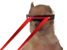 https://image.noelshack.com/fichiers/2019/20/4/1558040076-76697-full.png