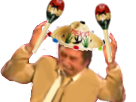 https://image.noelshack.com/fichiers/2019/20/6/1558168904-1509047679-maracas.png