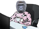 https://image.noelshack.com/fichiers/2019/20/6/1558177071-untitled.png