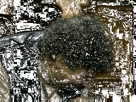 https://image.noelshack.com/fichiers/2019/21/2/1558440427-1523801498-675d17ac-195c-41bc-a9ab-cbd5d2e45864.gif