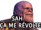 https://image.noelshack.com/fichiers/2019/21/2/1558444664-1557231093-thanos-revolte.png