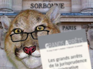 https://image.noelshack.com/fichiers/2019/21/4/1558609610-felin-sorbonne2.png