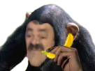 https://image.noelshack.com/fichiers/2019/21/5/1558716940-singe-petite-banane.png