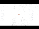 https://image.noelshack.com/fichiers/2019/21/7/1558882018-d7m04sk-95e6e08f-ac3a-4645-bbcb-518f235fe700.gif