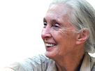 https://image.noelshack.com/fichiers/2019/21/7/1558895688-jane-goodall-sourire.jpg