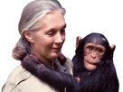 https://image.noelshack.com/fichiers/2019/21/7/1558896111-jane-goodall-calin.jpg