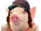 https://image.noelshack.com/fichiers/2019/22/1/1558934900-ryeryery.png