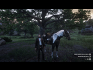 https://image.noelshack.com/fichiers/2019/22/1/1558962421-red-dead-redemption-2-20190526012425.jpg