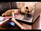 https://image.noelshack.com/fichiers/2019/22/4/1559169250-38805048-working-to-death-business-man-s-skeleton-using-laptop-in-offic.jpg