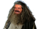 https://www.noelshack.com/2019-22-4-1559238456-1480264601-hagrid.png