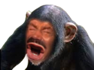 https://image.noelshack.com/fichiers/2019/22/5/1559300409-23984-full.png