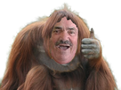 https://image.noelshack.com/fichiers/2019/22/6/1559362095-12709-full.png
