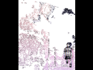 https://image.noelshack.com/fichiers/2019/22/6/1559396743-d977cd12a899e1b06d5d3b85901c57b7.gif