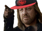 https://image.noelshack.com/fichiers/2019/22/6/1559410065-ned-stark-targaryen-2.png