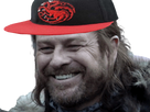 https://image.noelshack.com/fichiers/2019/22/6/1559410963-ned-stark-targaryen-3.png