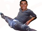 https://image.noelshack.com/fichiers/2019/22/6/1559414442-ronaldo468.jpg