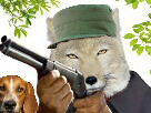 https://image.noelshack.com/fichiers/2019/22/7/1559477382-renard-tibetain-chasse.jpg