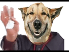 https://image.noelshack.com/fichiers/2019/23/2/1559648523-16930-full.png