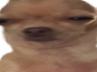 https://image.noelshack.com/fichiers/2019/23/3/1559741164-82256-full.png