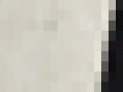 https://image.noelshack.com/fichiers/2019/23/4/1559854520-33-y6l3me5v.png