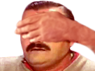 https://image.noelshack.com/fichiers/2019/23/4/1559854882-risitas-facepal.png