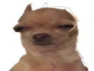 https://image.noelshack.com/fichiers/2019/23/5/1559924798-82255-full.png