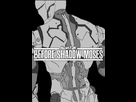 https://image.noelshack.com/fichiers/2019/23/6/1559989687-gray-fox-044.jpg