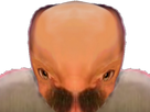 https://image.noelshack.com/fichiers/2019/23/7/1560116879-134715-full.png