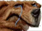 https://image.noelshack.com/fichiers/2019/24/4/1560405773-32088-full.png