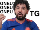 https://image.noelshack.com/fichiers/2019/24/7/1560637595-coccahenni.jpg